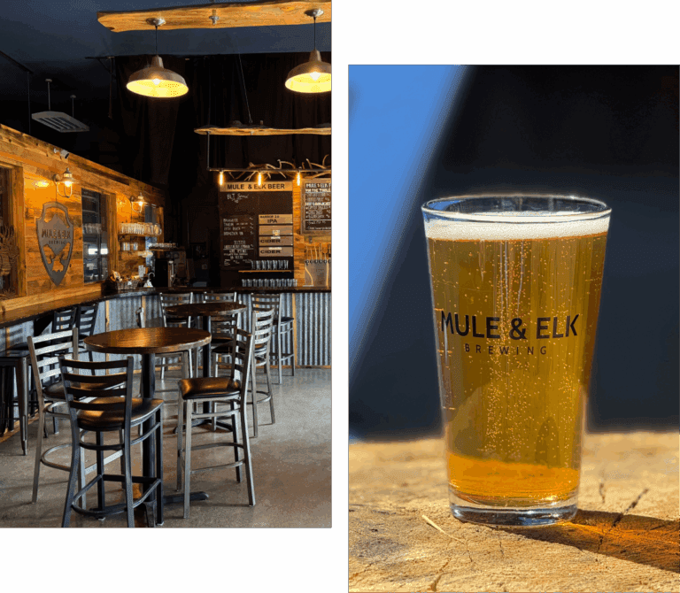Mule & Elk Brewing taproom interior